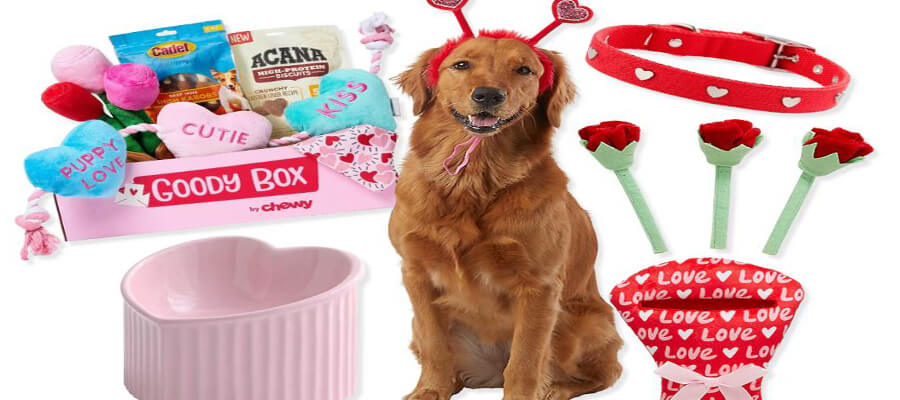 The Best Valentine’s Day Gifts for Your Dog